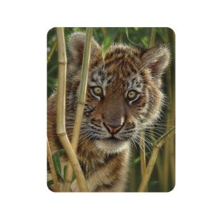 Obrázek z Magnet 3D 7x9cm - tygří mládě (25) 